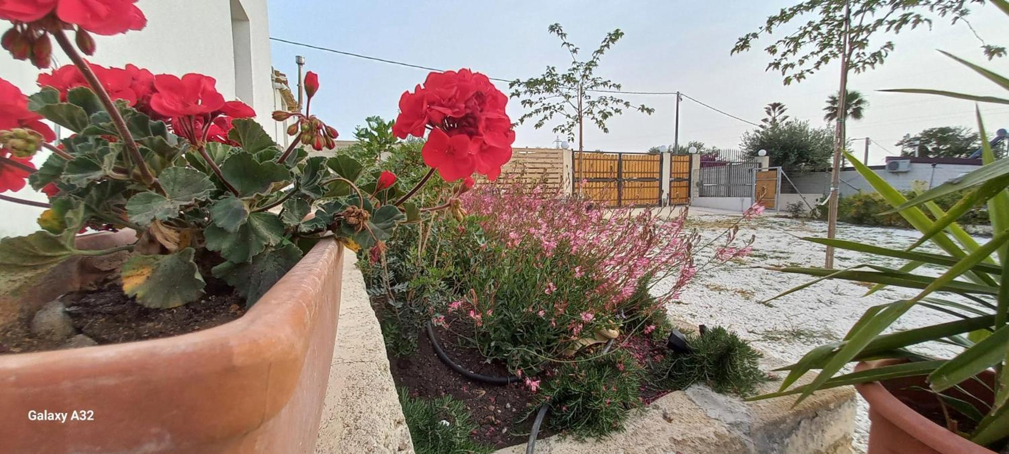 Almademari Giglio Casa Holiday home Pachino